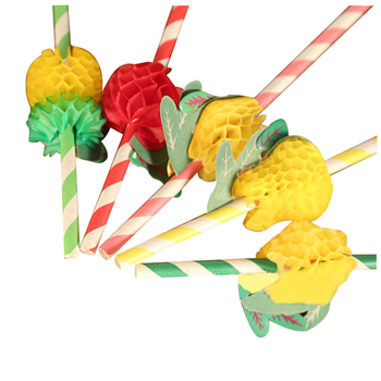 Fruit drinking straw