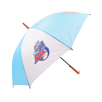 Auto Open Straight Umbrella