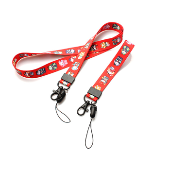 Lanyard Sets