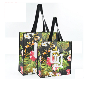 Colorful Printing Non-woven Tote