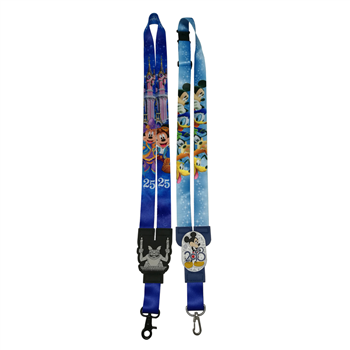 Lanyard