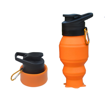 18oz Foldable Silicone Bottle