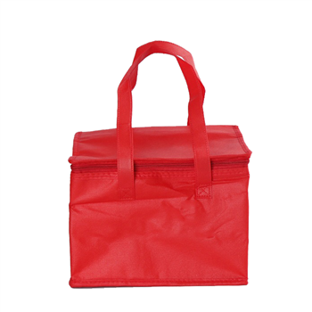 Cooler Bag