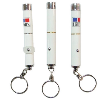 Logo Projector Keychain