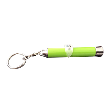 Logo Projector Keychain