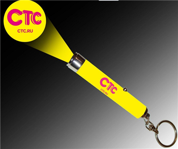 Logo Projector Keychain