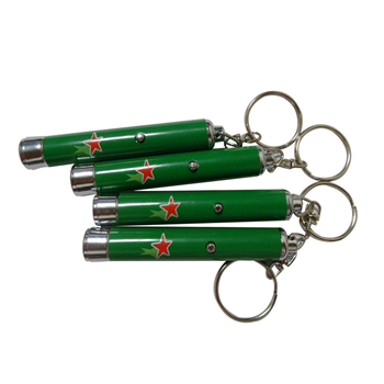 Logo Projector Keychain