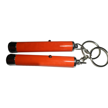 Logo Projector Keychain