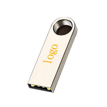 Flash Drive