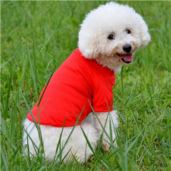 Dog Clothes