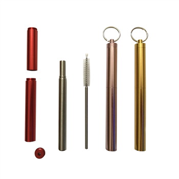 Collapsible Stainless Steel Straw Kit