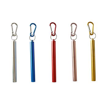 Collapsible Stainless Steel Straw Kit