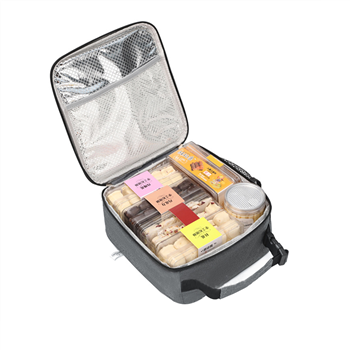 Insulated Lunch Bag