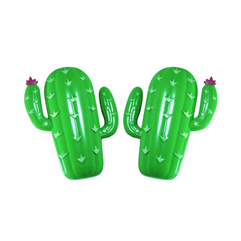 Cactus Beach Clip