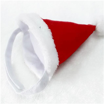 Pet Santa hat