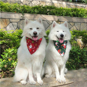 Christmas pet saliva towel