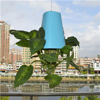 Creative Inverted Planter