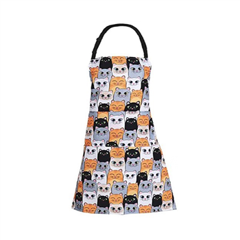 Fashion Apron