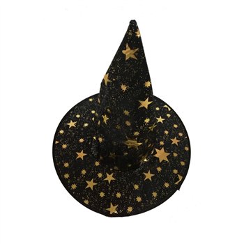 Witch Wizard Hat