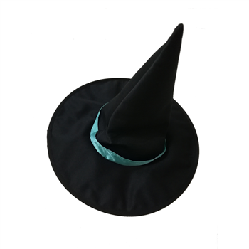 Witch Wizard Hat