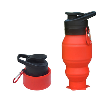 19OZ Outdoor Portable Collapsable Bottle