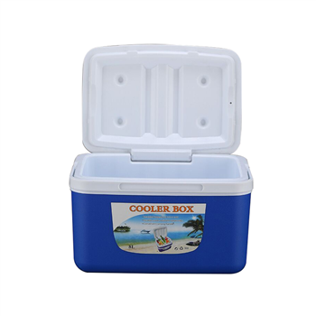 8L Portable Cooler