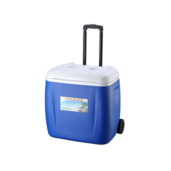 28L Wheeled Cooler