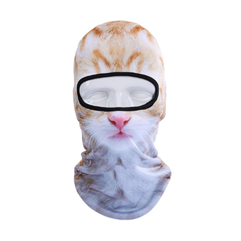 Full Cover Face Mask