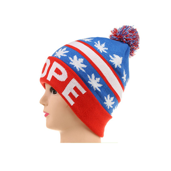 Knit Beanie
