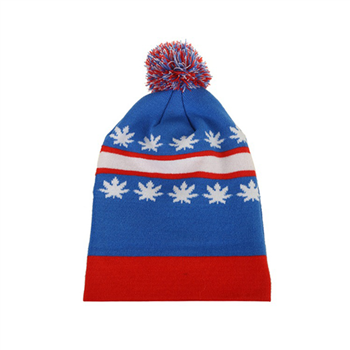 Knit Beanie