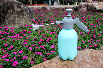 Pneumatic Spray Bottle