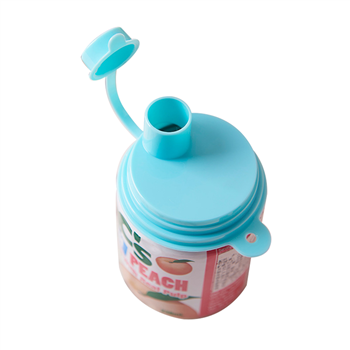 2 Pack Can Bottle Cover