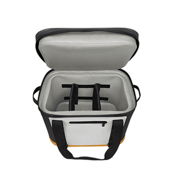 20L Cooler Bag