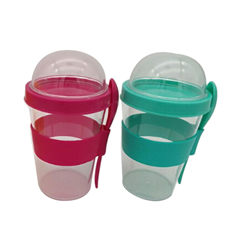 Double Layer Container Cup with Spoon