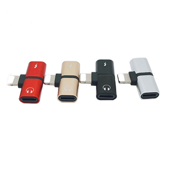 2 in 1 Mini Adapter for IPhone