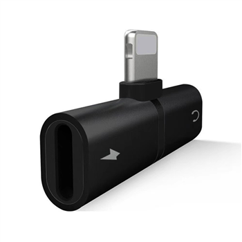 2 in 1 Mini Adapter for IPhone