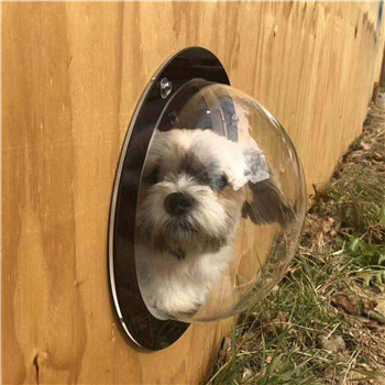 Transparent Half Round Acrylic Dog Window
