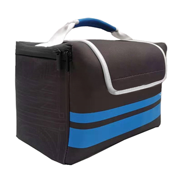 Cooler Bag