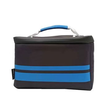 Cooler Bag