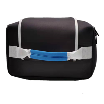 Cooler Bag