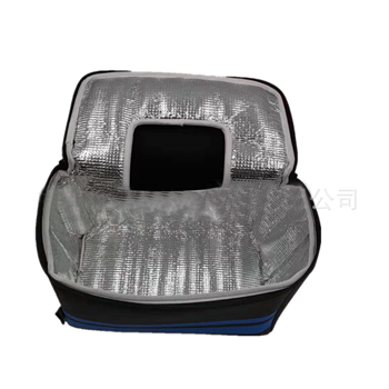 Cooler Bag