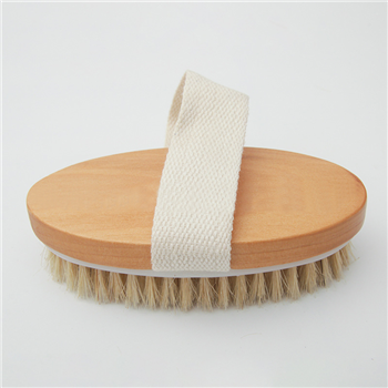 Body Brush