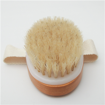 Body Brush