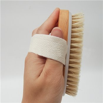 Body Brush