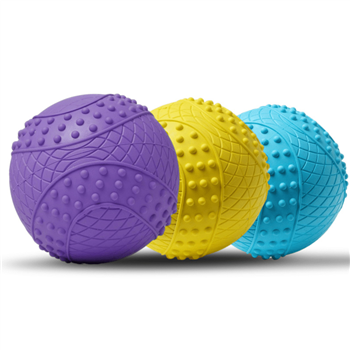 Dog Squeaky Ball