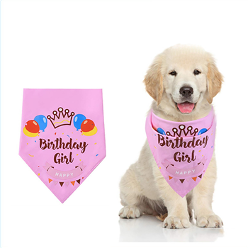 Pet Bandana
