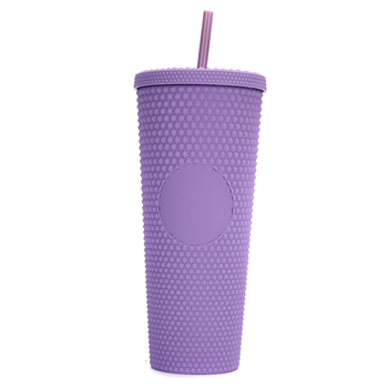 24oz Studded Tumbler with Straw