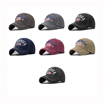 Washed Dad Hat