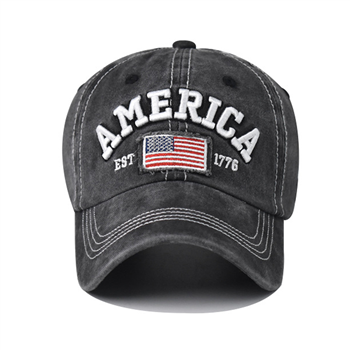 Washed Dad Hat