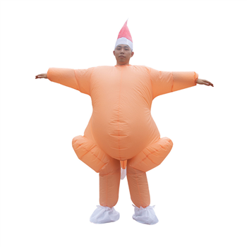 Thanksgiving Turkey Inflatable Costume